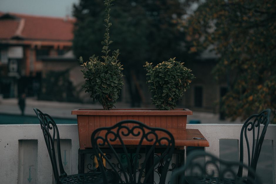 Elegant outdoor patio scene featuring ornate chairs and potted plants.